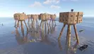 sea Collection